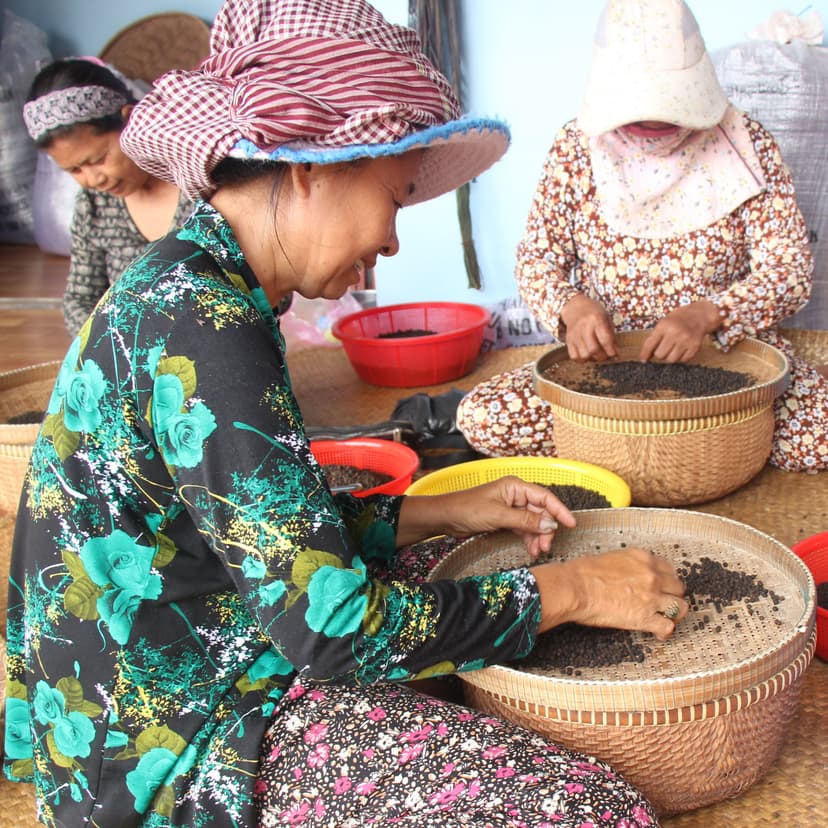 Women hand-sorting pepper berries in woven baskets